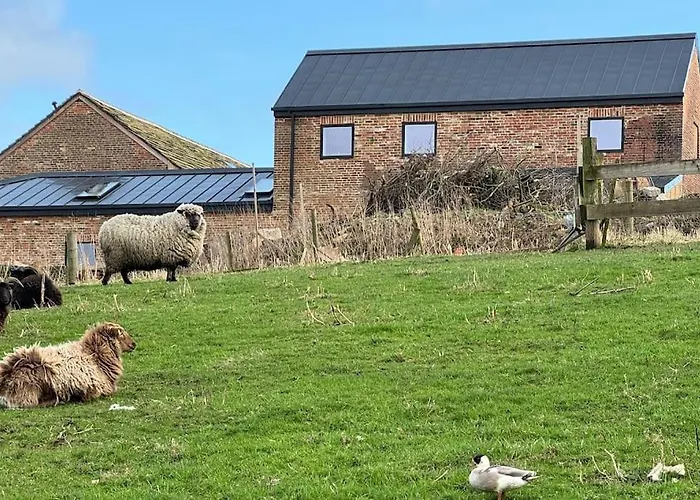The Hayloft, Modern 4 Bed, 8 Person, Barn Conversion In A Rural Location With Great Access