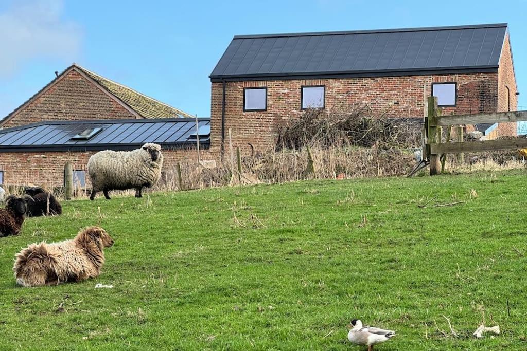 The Hayloft, Modern 4 Bed, 8 Person, Barn Conversion In A Rural Location With Great Access * Silkstone